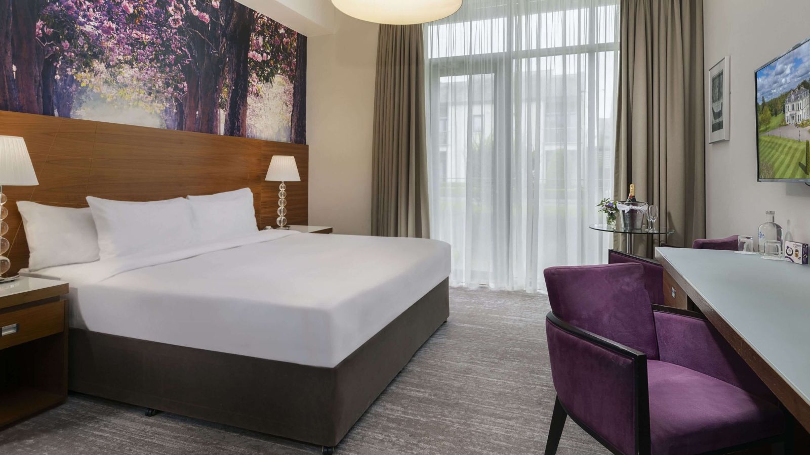 Sueprior_Room_New_optimized_3000 (1) (1) (1)